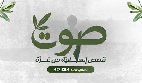 منصة المحتوى